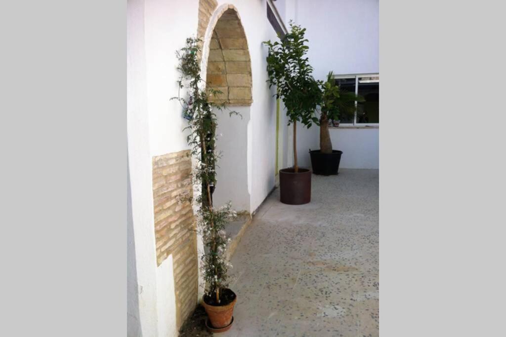 Casa Florinda #7 Leilighet Jerez de la Frontera Eksteriør bilde